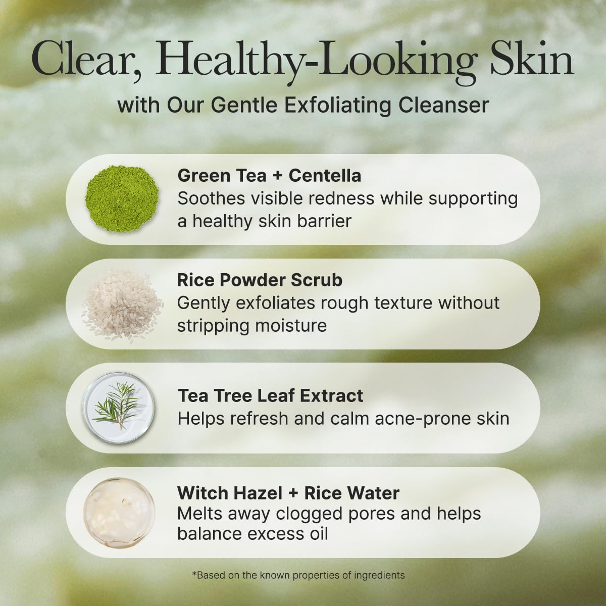 Radiant Rice Face Cleanser